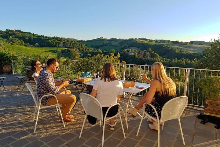 Bologna Hills: Organic DOCG Wine Tasting & Winery Tour — photo 1 of 23