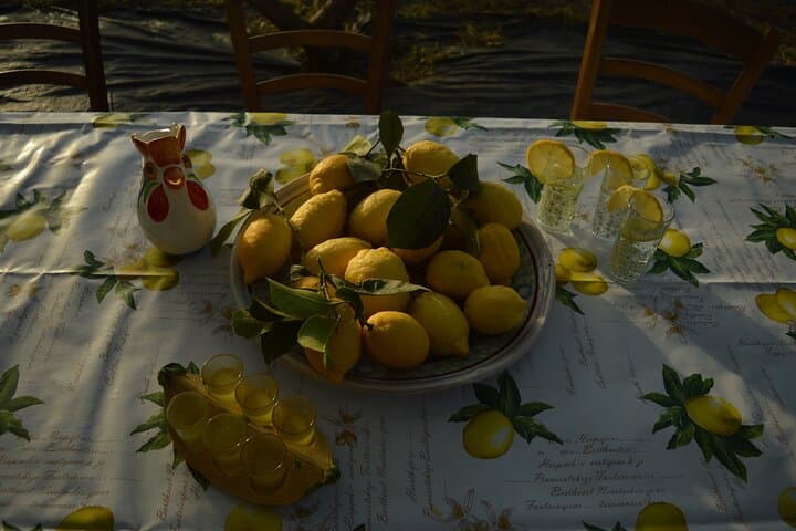 Discovery Tour of Sorrento Lemon in Massa Lubrense — photo 1 of 18