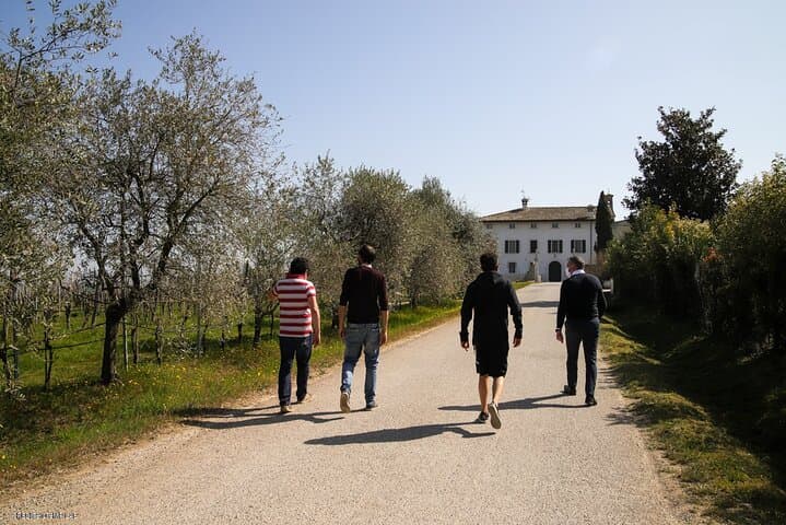 Tour and Tasting of 3 Lugana Wines — photo 1 of 9