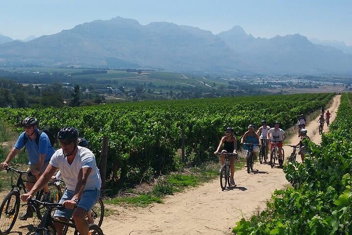 Wine Tasting with Bike Tour in Castiglione di Sicilia — photo 1 of 8
