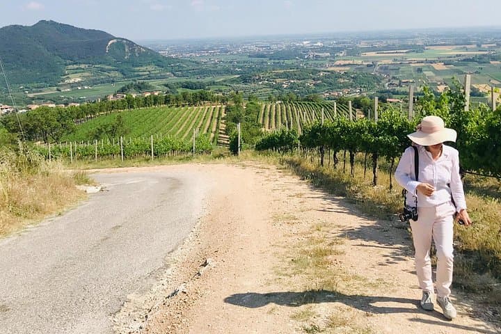 Euganean hills, Ham, Wine and Olive Oil production farm private day tour — photo 1 of 11