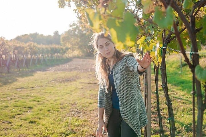 Amarone Wine Tour — photo 1 of 7
