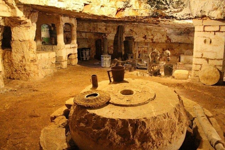 Ostuni : Tasting of Extra Virgin Olive Oil in Masseria — photo 1 of 11