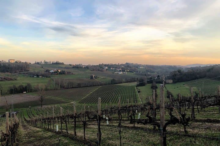 Private Food and Wine Tour on the Prosecco Hills from Venice — photo 1 of 14