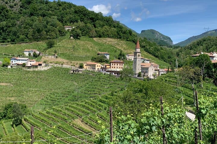 A Sparkling Day in the Prosecco Hills from Venice — photo 1 of 10