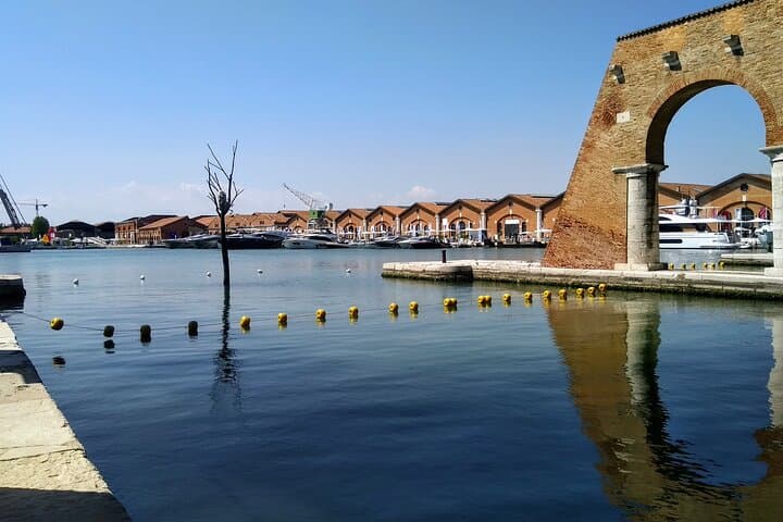 Biennale of Venice 2026, visit with private guide — photo 1 of 8