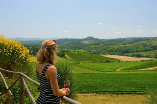 Discover the wine producers of Emilia Romagna