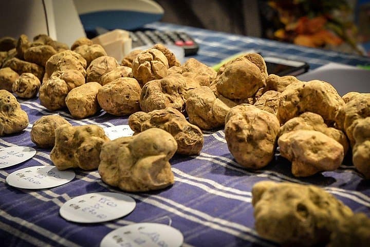 Alba Truffle Fair: Guided Tour and Skip-the-Line Access — photo 1 of 7
