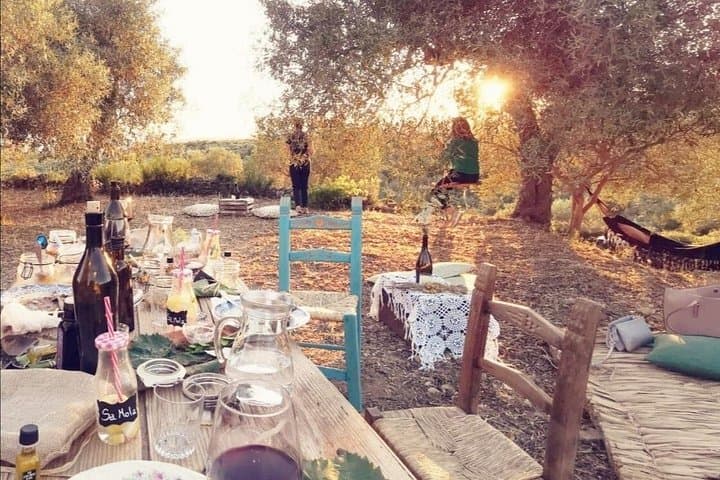 Sunset in the Sardinian Olive Grove with Drinks — photo 1 of 13