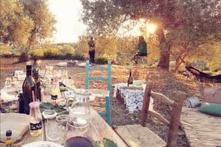 Sunset in the Sardinian Olive Grove with Drinks