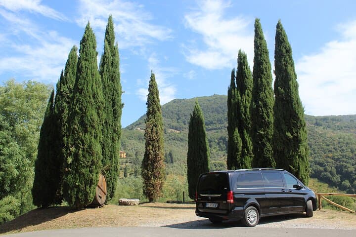 Tasting in a Tuscan Vineyard with transfer from Lucca — photo 1 of 27