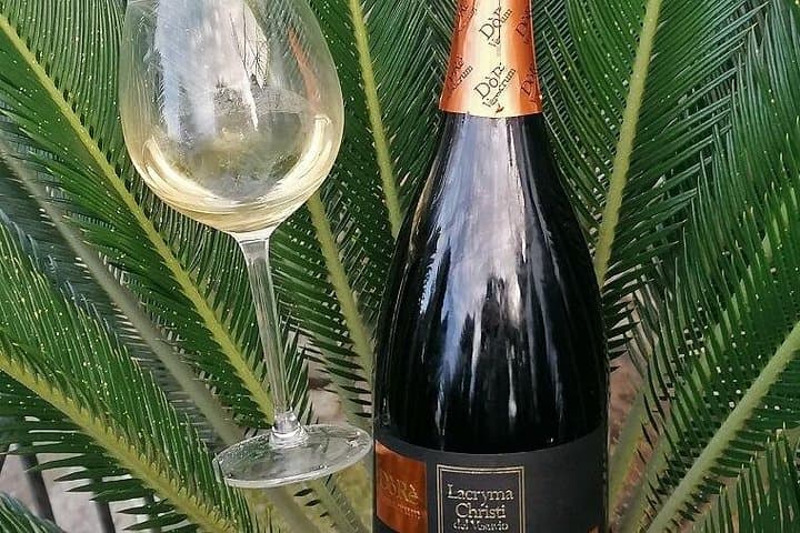 Tour Ercolano Excavations, Lunch and Wine Tasting from Sorrento — photo 1 of 6