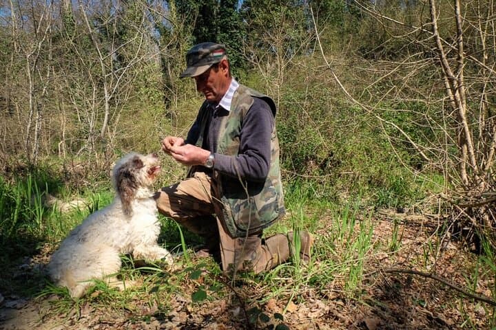 Private Truffle Hunt in Tuscany — photo 1 of 6