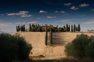 Private Chianti Wine Tour from Florence Half-Day Experience