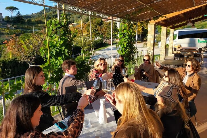 Private wine tour on the magical hills of Lucca with sommelier — photo 1 of 23