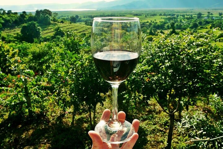 Wine Tour of the Chianti Region — photo 1 of 12