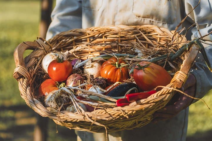 Special vegan cooking class in Tuscany: discover the flavours of Valdichiana Senese — photo 1 of 3