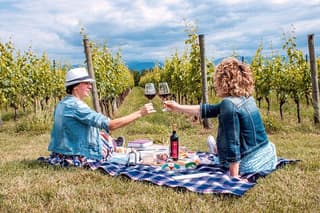 From the cellar to the vineyard, discover Nobile di Montepulciano wine with a Tuscan picnic