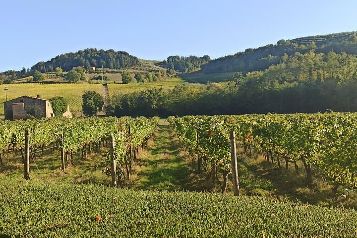 PRIVATE TRANSFER: Florence to Siena with private Minivan — photo 1 of 24