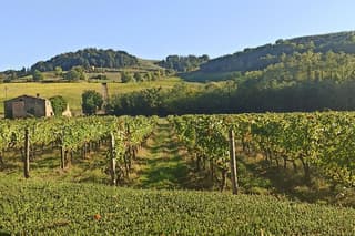 PRIVATE TRANSFER: Florence to Siena with private Minivan