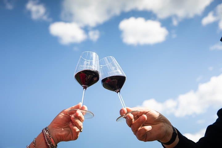 Triumph of Flavors, Winery Tour, Organic Wines in Panzano in Chianti — photo 1 of 11