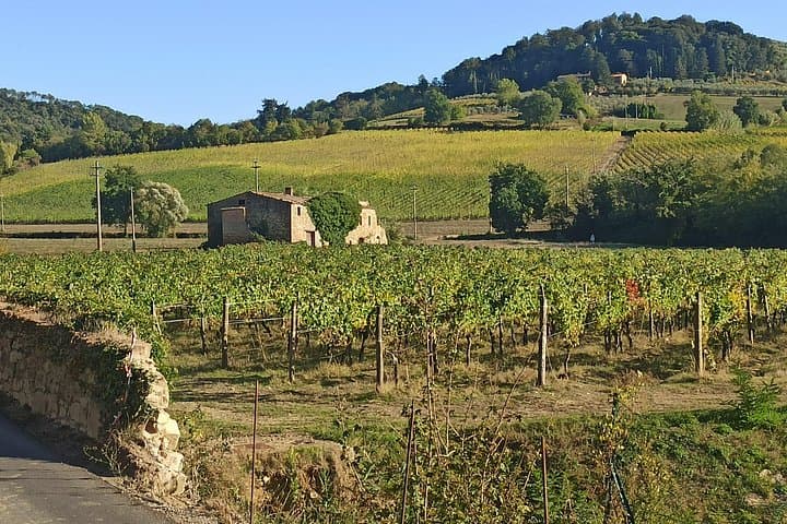 PRIVATE TOUR: Chianti Afternoon tour with visit to 2 wine farms — photo 1 of 34