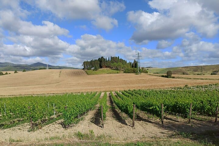 PRIVATE TOUR "Ramble through the Rolling Hills Of Chianti"+ lunch & wine tasting — photo 1 of 42