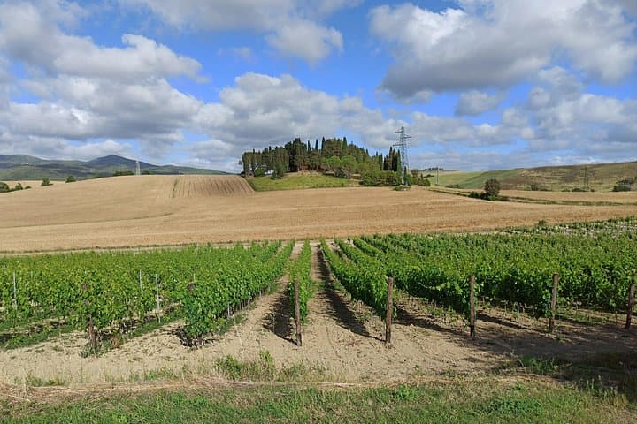 "Ramble Through The Rolling Hills Of Chianti" with lunch and 2 wine tastings — photo 1 of 30