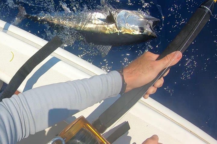 Bluefin Tuna Fishing Charter in the Egadi Islands — photo 1 of 43