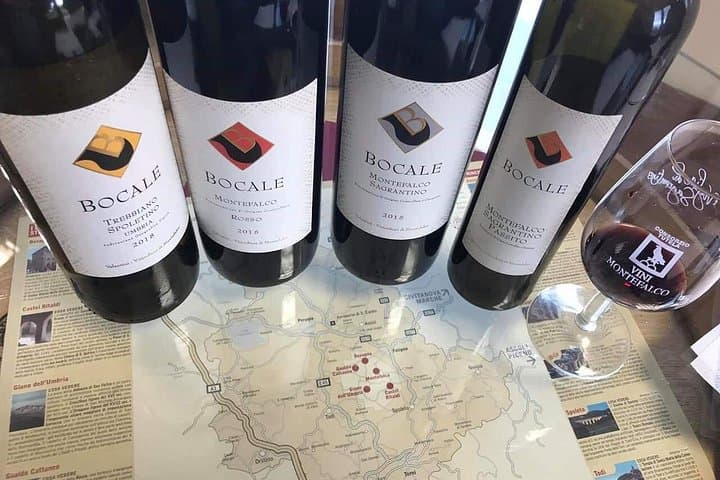 Tasting Selection of 4 wines in Montefalco — photo 1 of 9