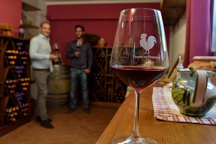 4 Wines & 2 Olive Oils Tasting in Chianti Winery with Tour — photo 1 of 12