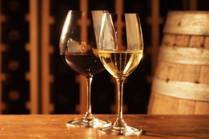 Food and Wine Tasting in Vino Veritas — photo 1 of 6