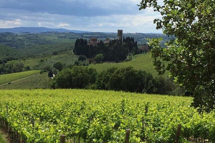 Lucca Private Day Tour to Chianti & San Gimignano — photo 1 of 6