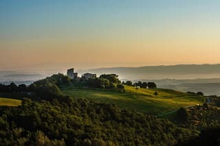 Wine Experience at Torre Bisenzio Winery