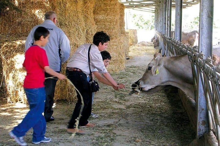 Guided tour from Palermo: Sicilian traditions with farm — photo 1 of 15