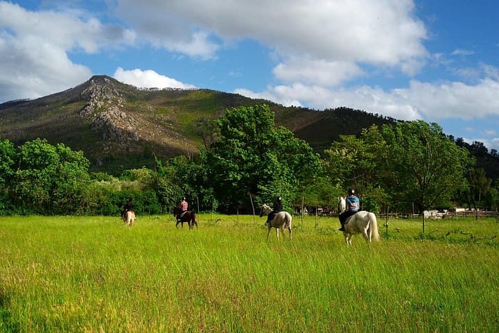 2 hour horseback ride for experts in Valgraziosa (Pisa) — photo 1 of 24