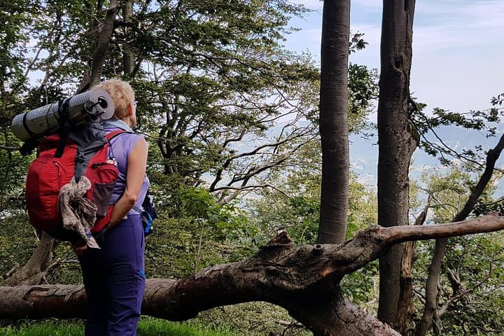 Full-Day Private Hike in Foreste Casentinesi National Park — photo 1 of 5