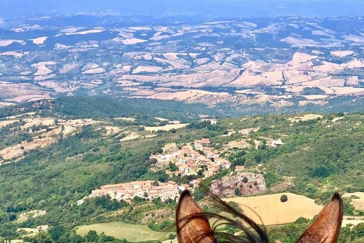 2-Hour Private Horse Riding with Views in Tuscany — photo 1 of 8