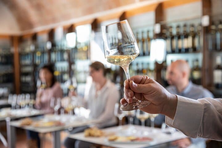 Superior Wine Tasting in San Gimignano — photo 1 of 7