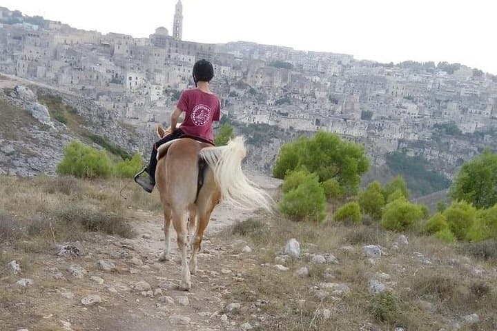 Murgia Park: Horse riding tour — photo 1 of 6