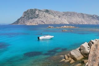 Boat Tour and Snorkeling Golfo di Olbia Private up to 6 people