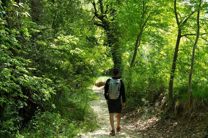 Walking Tour to Discover the Secular Beech Trees from Elcito — photo 1 of 6