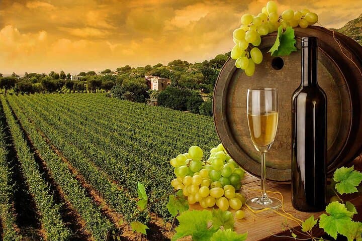 Wine Cheese and EVO Oil Tastings in Tuscany Full-Day from Rome — photo 1 of 11