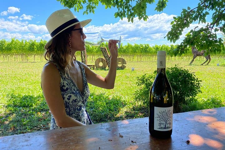 Family Winery Tour and Tasting in Grado — photo 1 of 13