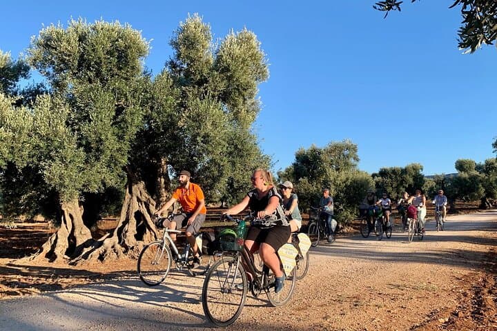 Monopoli's Countryside by Bike — photo 1 of 9