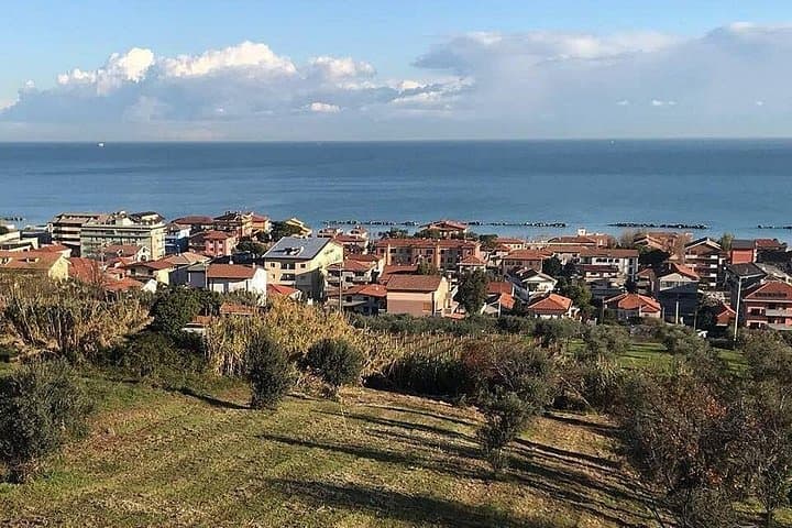 Enogastronomic visit and wine tasting at Cantina Rapino — photo 1 of 10