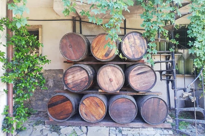 A Lovely Wine Tour to Frascati from Rome — photo 1 of 10
