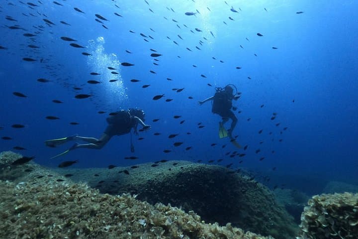 Scuba Diving in the Marine Area of Villasimius (only patented) — photo 1 of 8