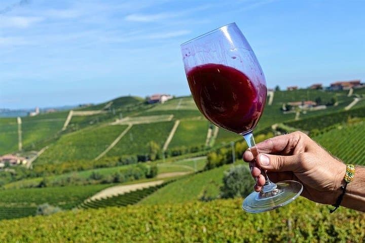 Piemonte Vineyards by Yourself from Turin - Business Car with English Chauffeur — photo 1 of 12