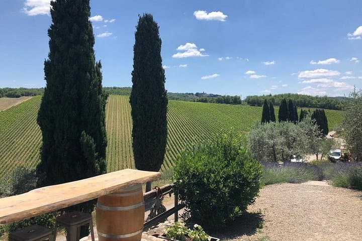 Visit Of The Chianti Classico And The Tuscan Countryside — photo 1 of 6